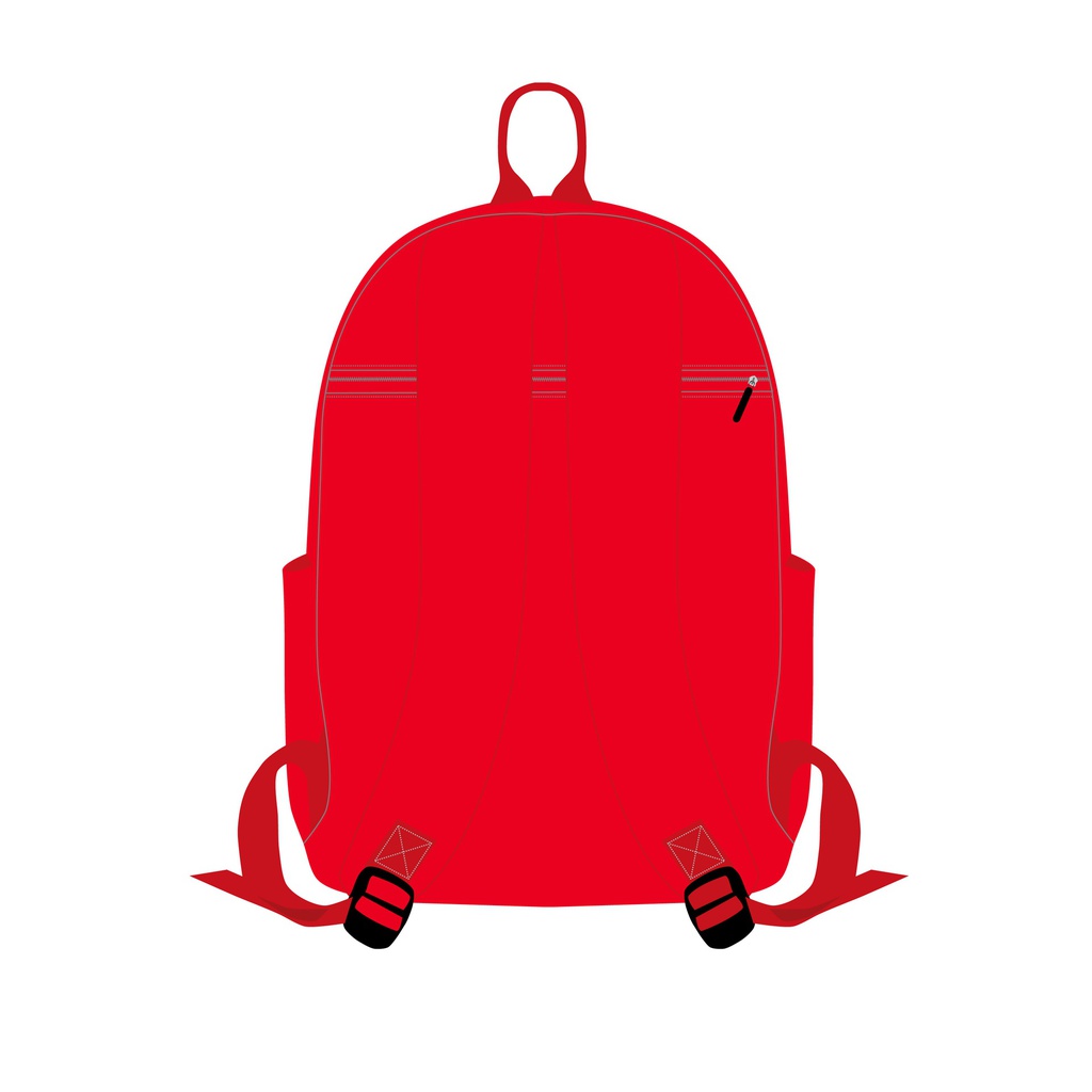 DCB Lions 双肩背包