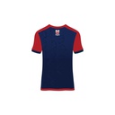 DCB Lions 羽毛球短袖上衣