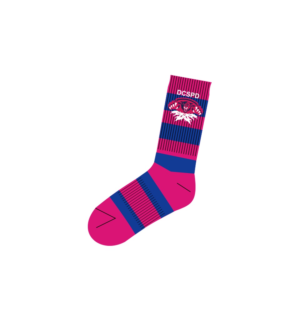 AquaPanther Team Socks